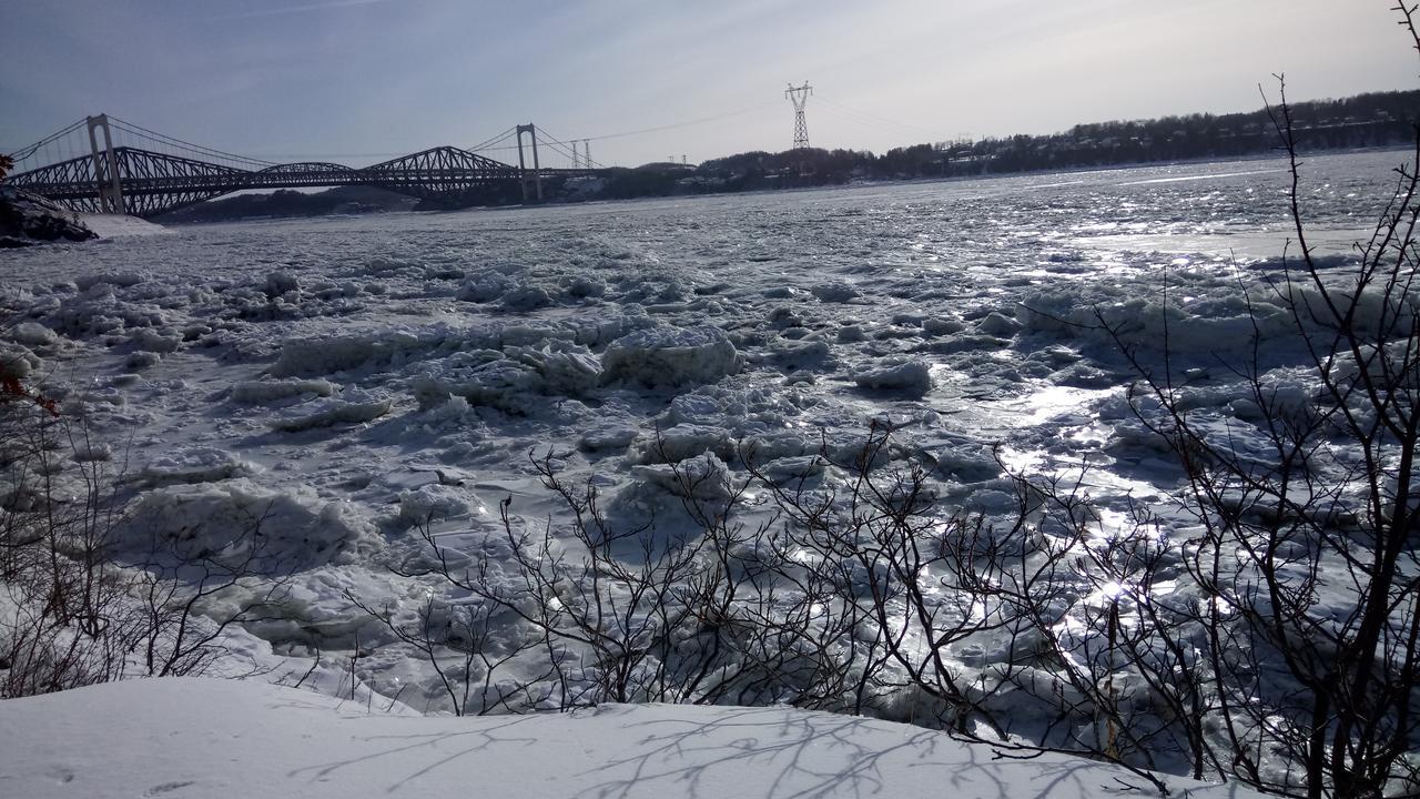 Gite Au Gre Du Vent 퀘벡 외부 사진